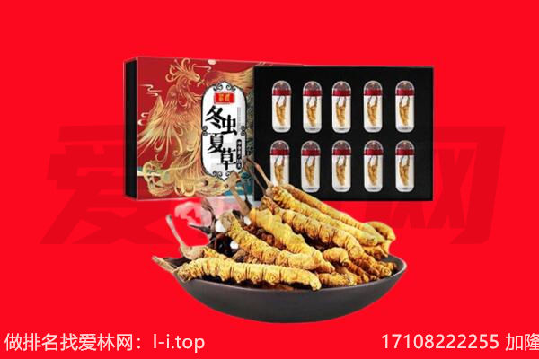 和顺县回收虫草.jpg